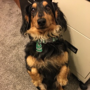 Fundraising Page: Anna Mendoza